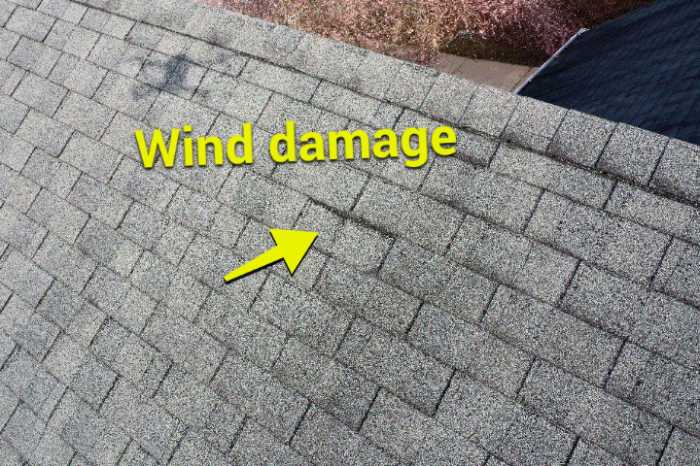 Boise Storm Damage Navigation Hawaiian Built Roofing health-insurance-claim-letter-download-in-word-google-60-off